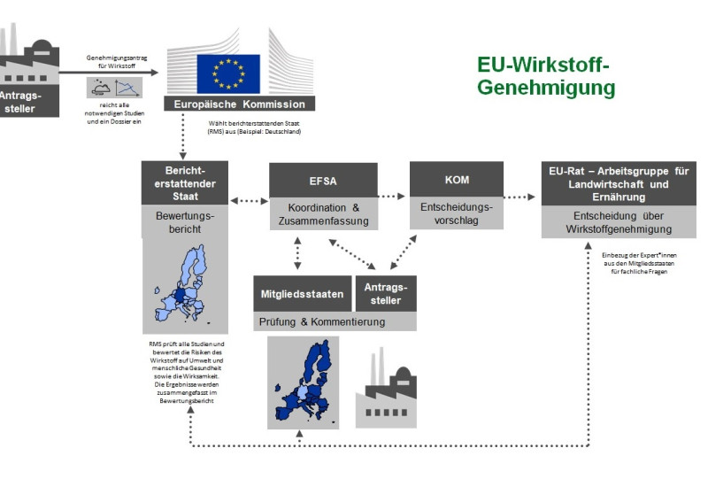 Die Grafik beschreibt das komplizierte Genehmigungsverfahren für Wirkstoffe, wie im Text beschrieben.