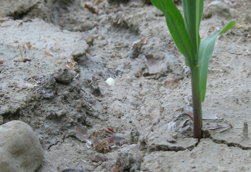 Photo of an extreme form of erosion.