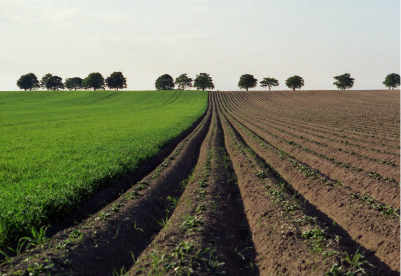 kahle Ackerfurchen bis zum Horizont