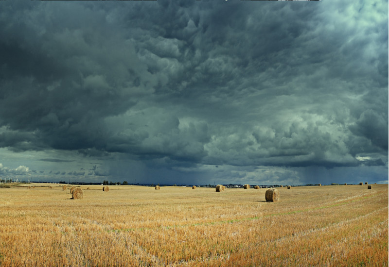 Harvested grain field with yellow stubble and bales of straw. Dark, low-hanging clouds loom menacingly in the sky.