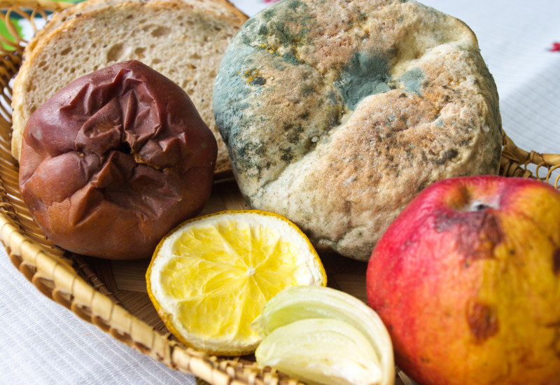 a basket with a mouldet bread roll, two rotten apples and a dried out lemon