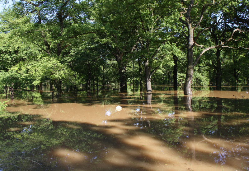 Das Foto zeigt eine Aufnahme vom Muldehochwasser 2013 in Dessau-Roßlau.