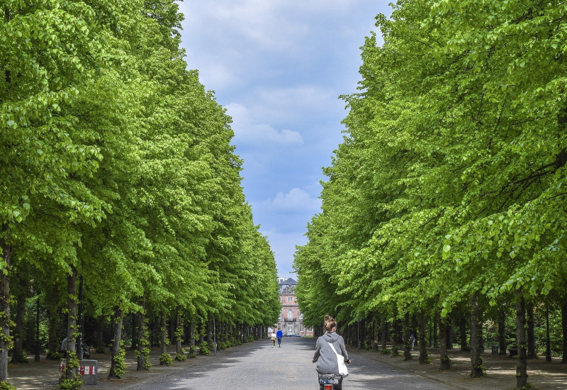 Parkweg mit Radfahrerin