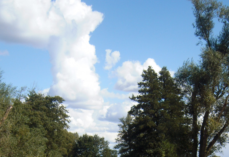 Breiter Fluss mit sehr glattem Wasser, in dem sich die Wolken und die Bäume am Ufer spiegeln.