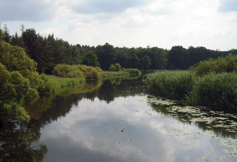 Blick auf auf den Flusslauf der Spree mit grüner Uferböschung rechts und links.