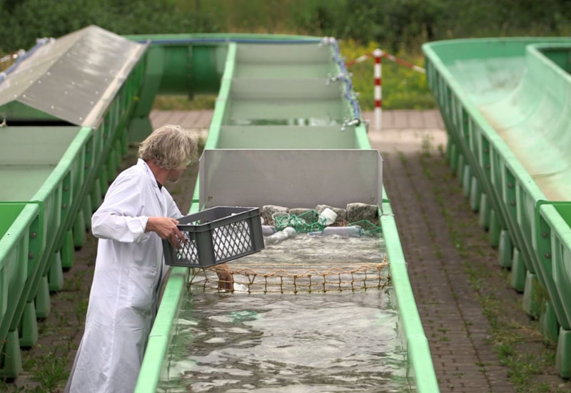 Ein grünes Rohr ist mit Wasser gefüllt, ein Mann mit einem weißen Kittel füllt Plastik ein.