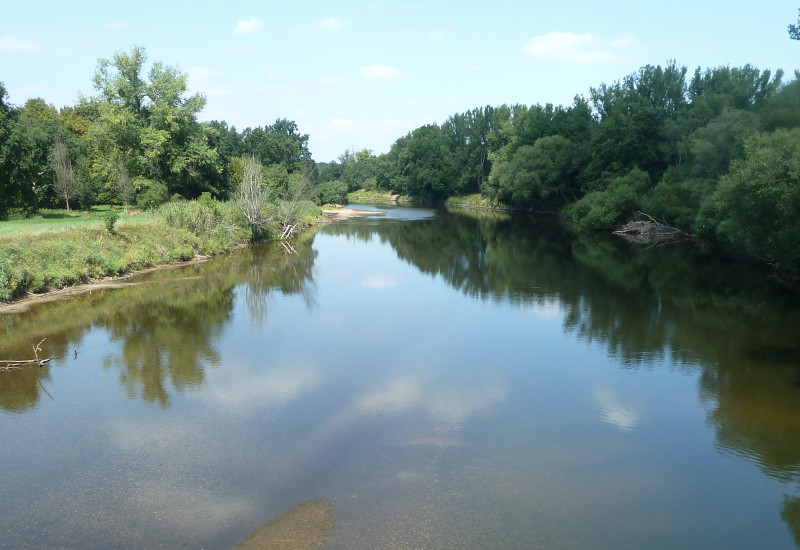 Ein Fluss mit Bäumen 