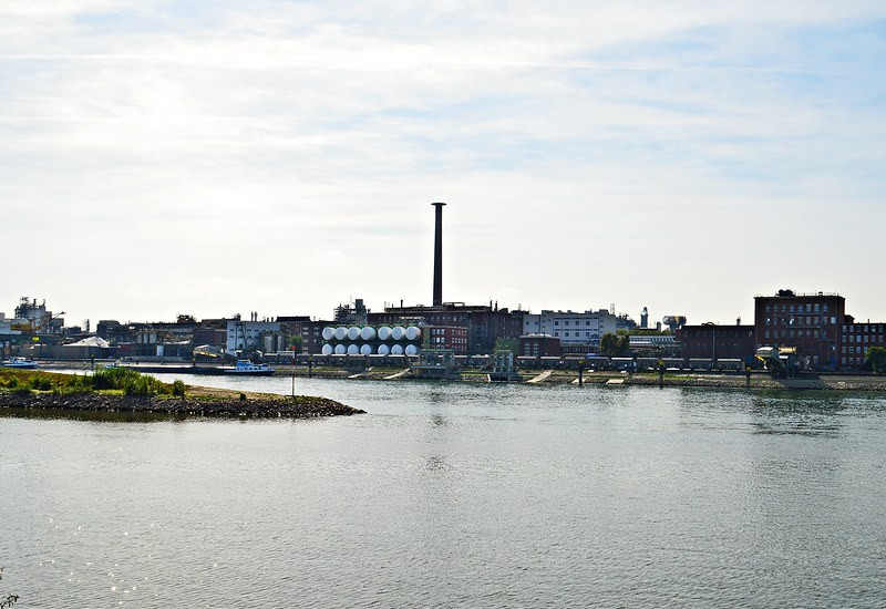 Auch an der Neckarmündung wird Kühlwasser genutzt.