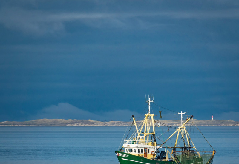 Das Bild zeigt einen Krabbenkutter auf der Nordsee. An der Seite des Schiffs hängt die Baumkurre. Im Hintergrund ist die Küste mit einem Leuchtturm zu erkennen.