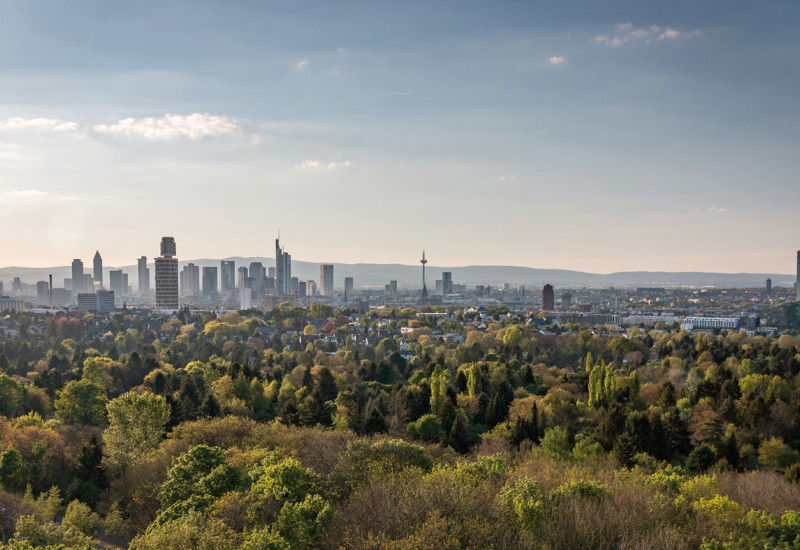 Das Bild zeigt über einen Wald hinweg die Skyline von Frankfurt am Main. Wolkenkratzer und der Fernsehturm erheben sich aus der Landschaft. Im Hintergrund sind die Höhenzüge des Taunus zu erkennen.