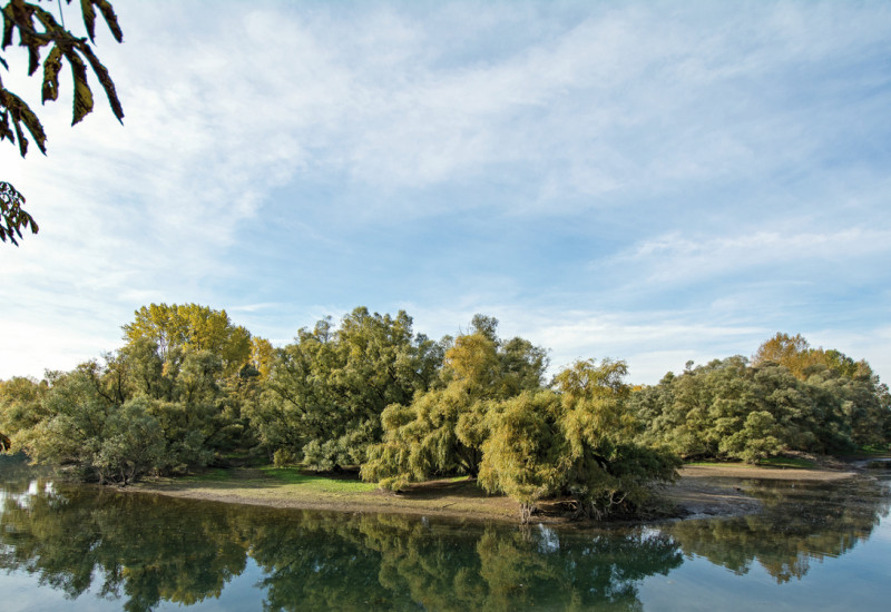 Das Bild zeigt den Altarm eines Flusses, dessen Ufer unbefestigt und von Wiesen und Baumgruppen gesäumt ist.