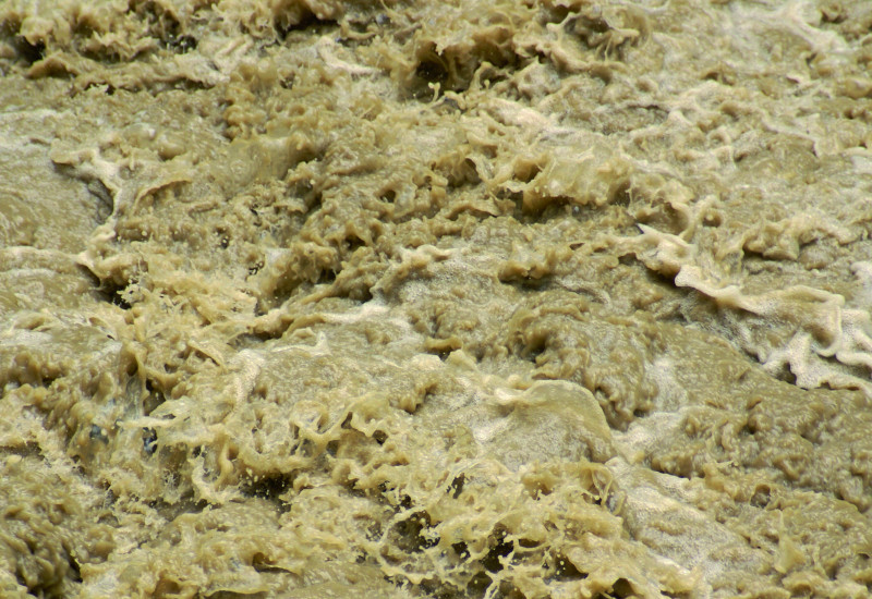 The picture shows a detailed view of a strong current. The water is tinged brown owing to its mud content.