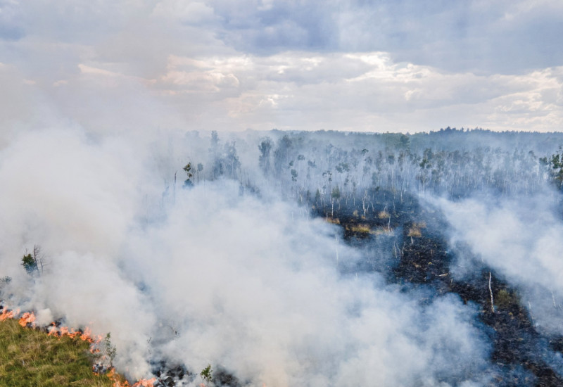 Das Bild zeigt einen ausgedehnten Waldbrand. Grau-weißer Rauch steigt von den Brandherden empor. Im Hintergrund abgebrannte Waldflächen zu sehen.