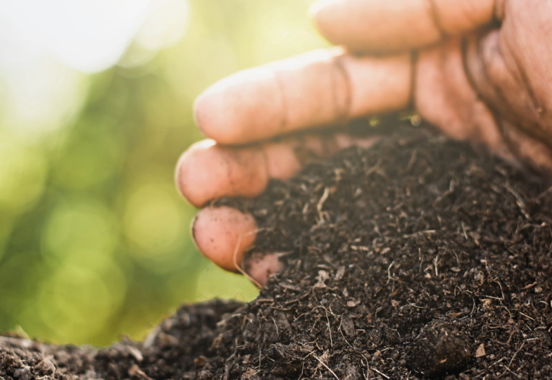 The picture shows a hand forming a small mound of dark-brown, humus-rich soil.