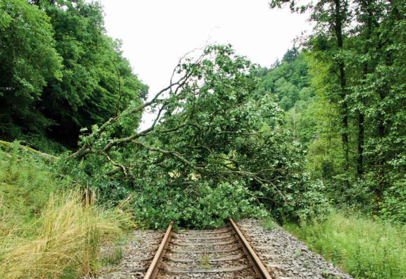 Das Bild zeigt einen einspurige Eisenbahnstrecke, auf deren Gleisen die Krone eines umgestürzten Baums liegt. Rechts und links der Strecke ist Wald zu erkennen.