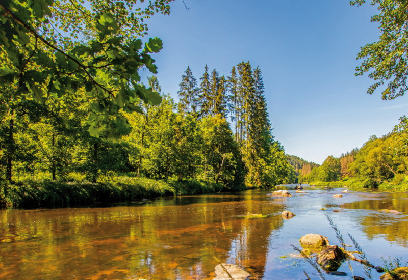 Das Bild zeigt ein flaches, langsam fließendes Gewässer bei sonnigem Wetter und wolkenlosem Himmel. Durch das klare, rotbräunlich schimmernde Wasser des Flusses ist das steinige Gewässerbett zu sehen, einige Steine ragen im Vordergrund über die Wasseroberfläche hinaus. Die Ufer sind von Mischwäldern gesäumt.