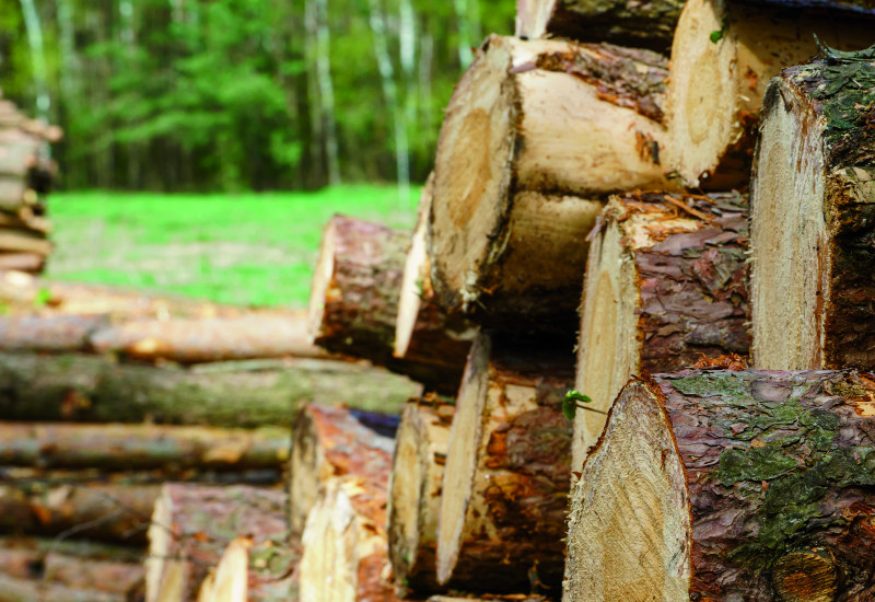 The picture shows a stack of timber.