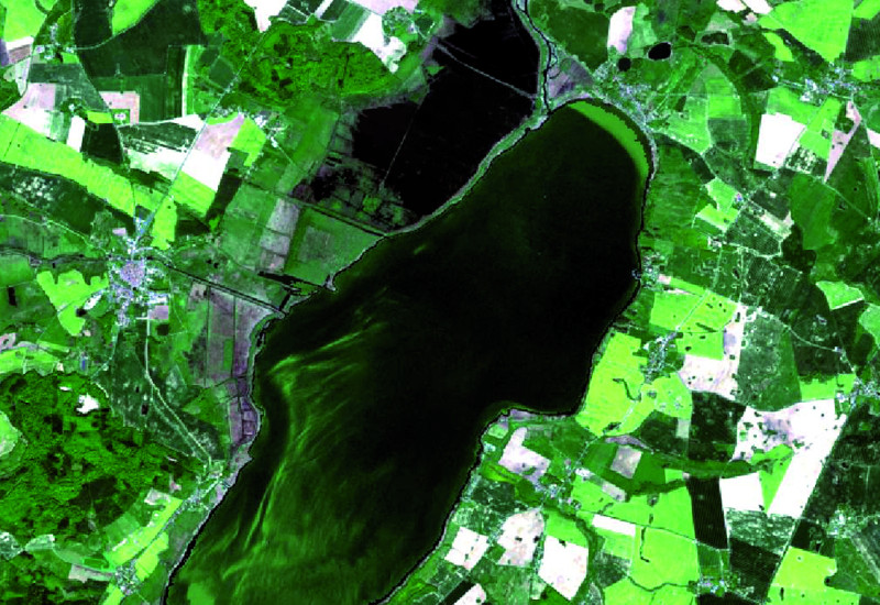 Das Bild zeigt eine Luftaufnahme eines Sees, dessen Oberfläche durch die Frühjahrsalgenblüte stellenweise leuchtend grün gefärbt ist. Im Umfeld des Sees sind landwirtschaftliche Nutzflächen sowie Siedlungsflächen zu erkennen.