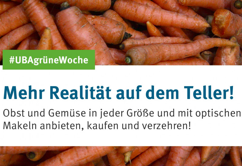 Eine Grafik mit Mohrrüben im Hintergrund und der Information, dass optisch perfektes Obst und Gemüse die Umwelt und das Klima belasten und das UBA fordert, mehr unperfektes Obst und Gemüse im Verkauf zuzulassen. 