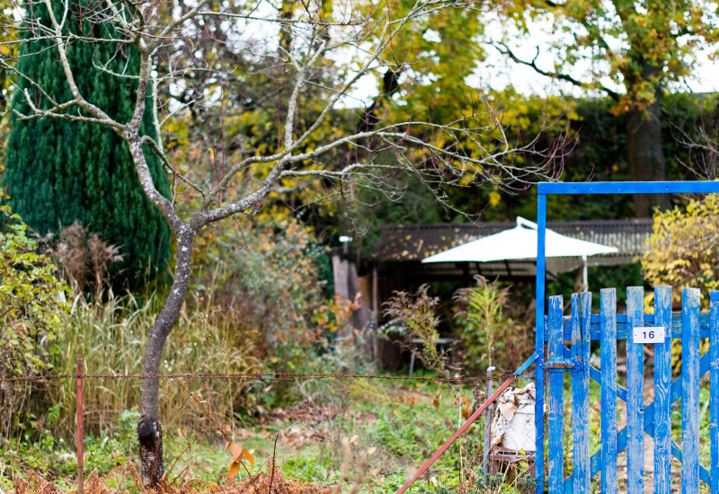 Ein Bild zeigt ein Gartentor vor einer wild bewachsenen Wiese bzw. einem Kleingarten. 