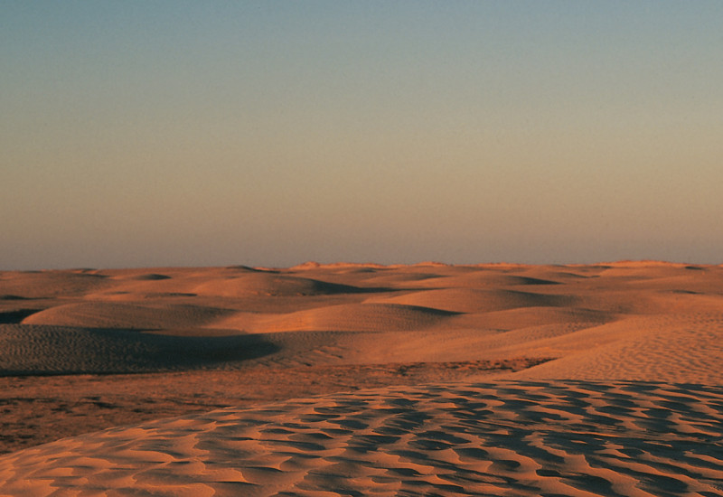 Sanddünen in der Wüste