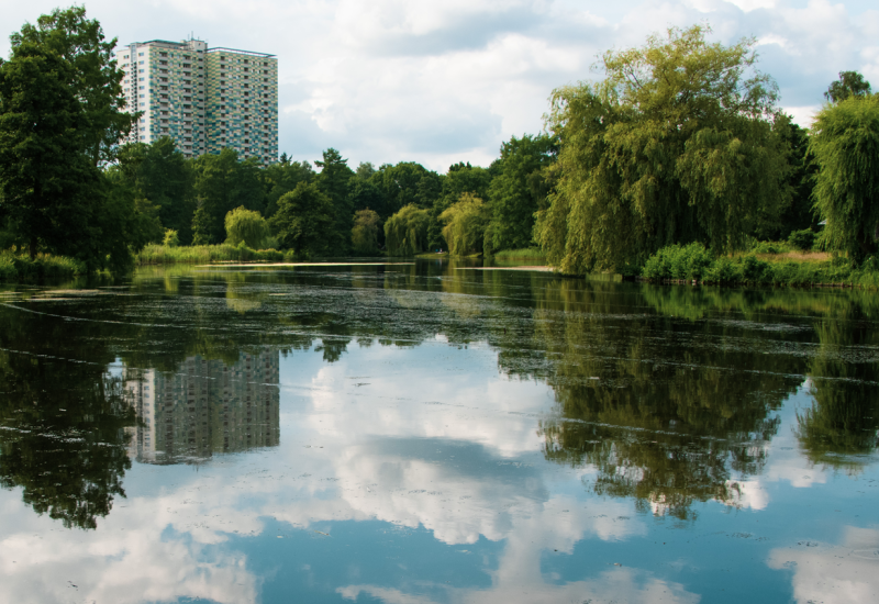 Südparkteich Berlin mit Häusern im Hintergrund - auf der Wasserfläche erkennt man feine Linien 