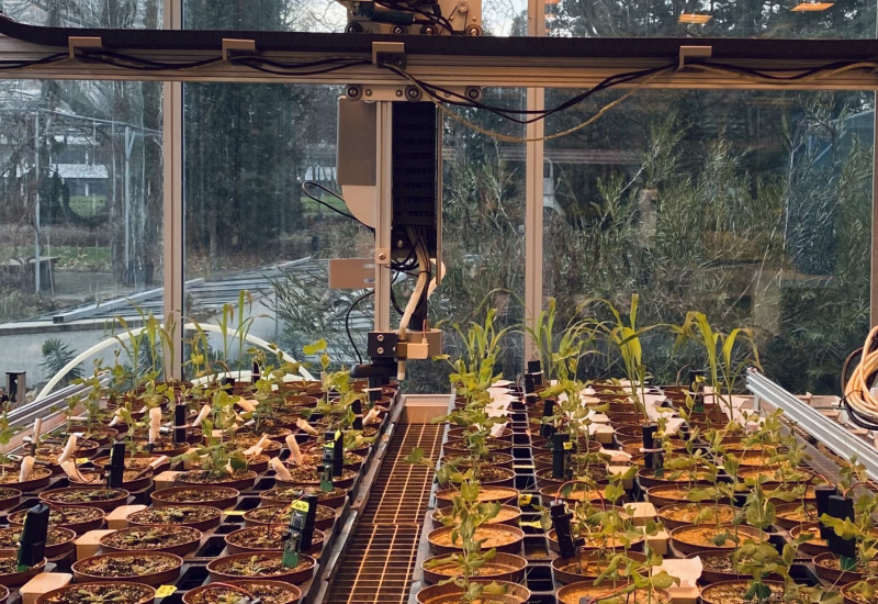 Versuchsaufbau im Gewächshaus der Universität zu Köln mit dem Farmbot, Sensoren und Pflanzen 