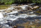 Stromschnelle in einem naturnahmen Mittelgebirgsfluss.