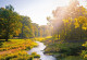 The photograph shows a stream running through a meadow. Trees and tree clusters line the edge of the meadow.