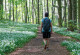 Das Bild zeigt einen Mann von hinten, der in T-Shirt und kurzer Hose mit einem Tagesrucksack durch einen Laubwald wandert. Rechts und links des Weges blühen weiße Blumen unter den Bäumen.