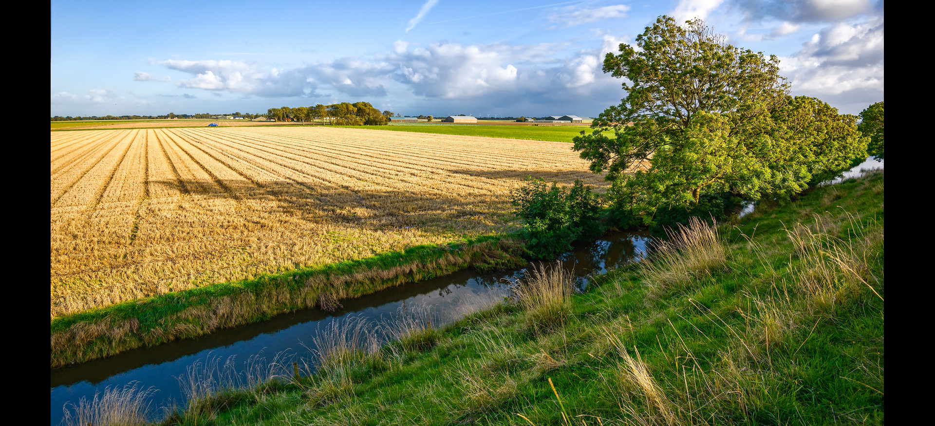 Foto: Getreidefeld, das bis an die Uferkante eines sehr geradlinig verlaufenden Baches heranreicht.