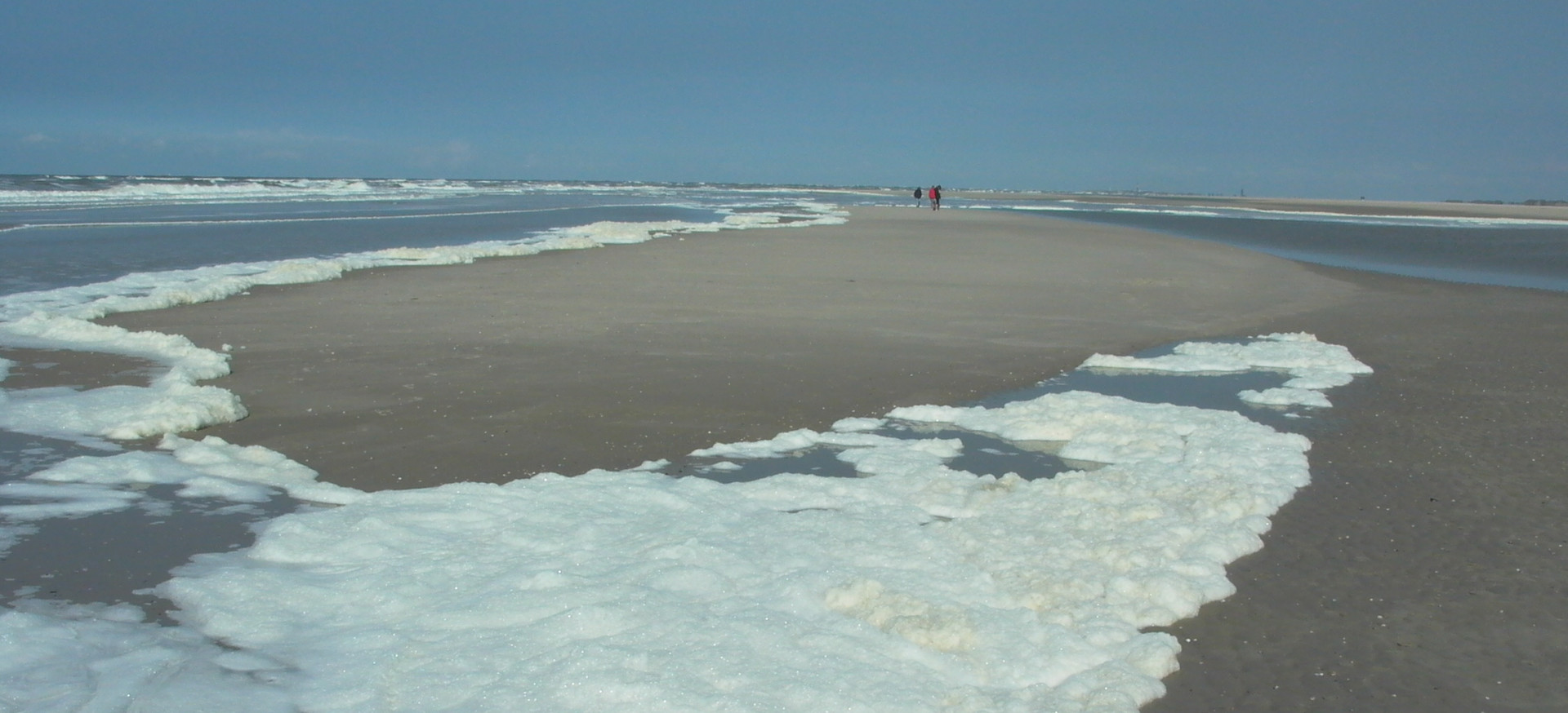 Schaum der abgestorbenen Schaumalgen am Strand