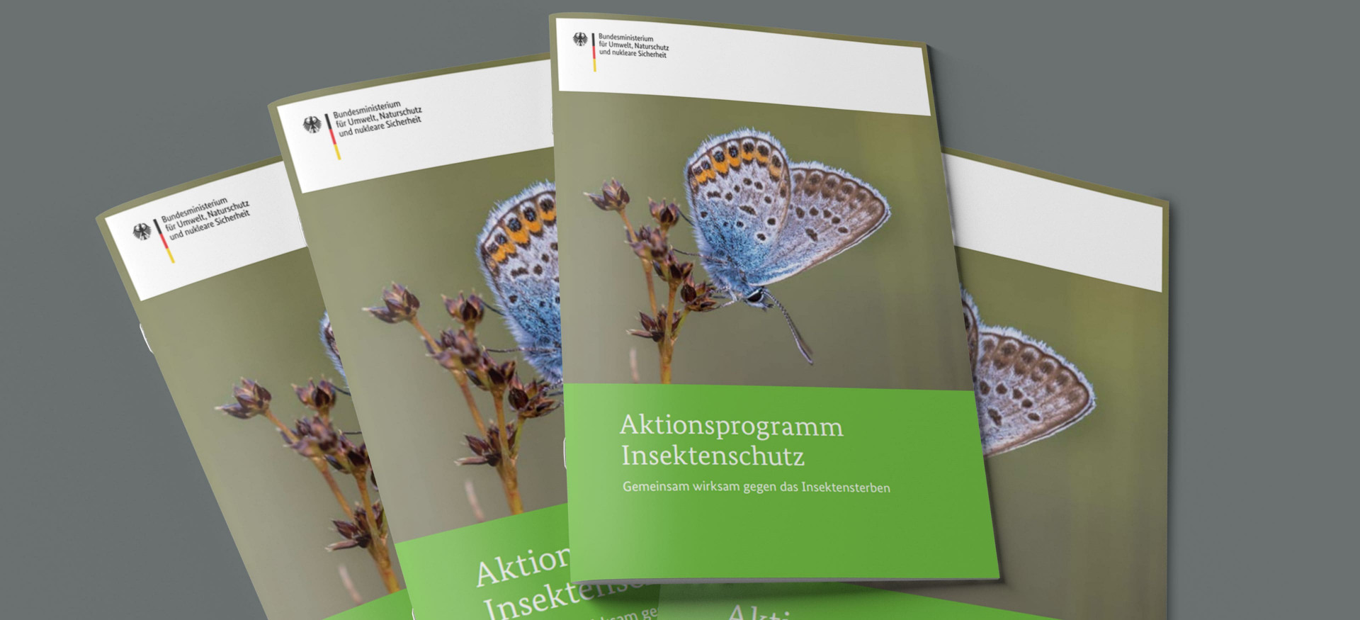 Das Bild zeigt einen Stapel Broschüren mit dem Titel "Aktionsprogramm Insektenschutz"