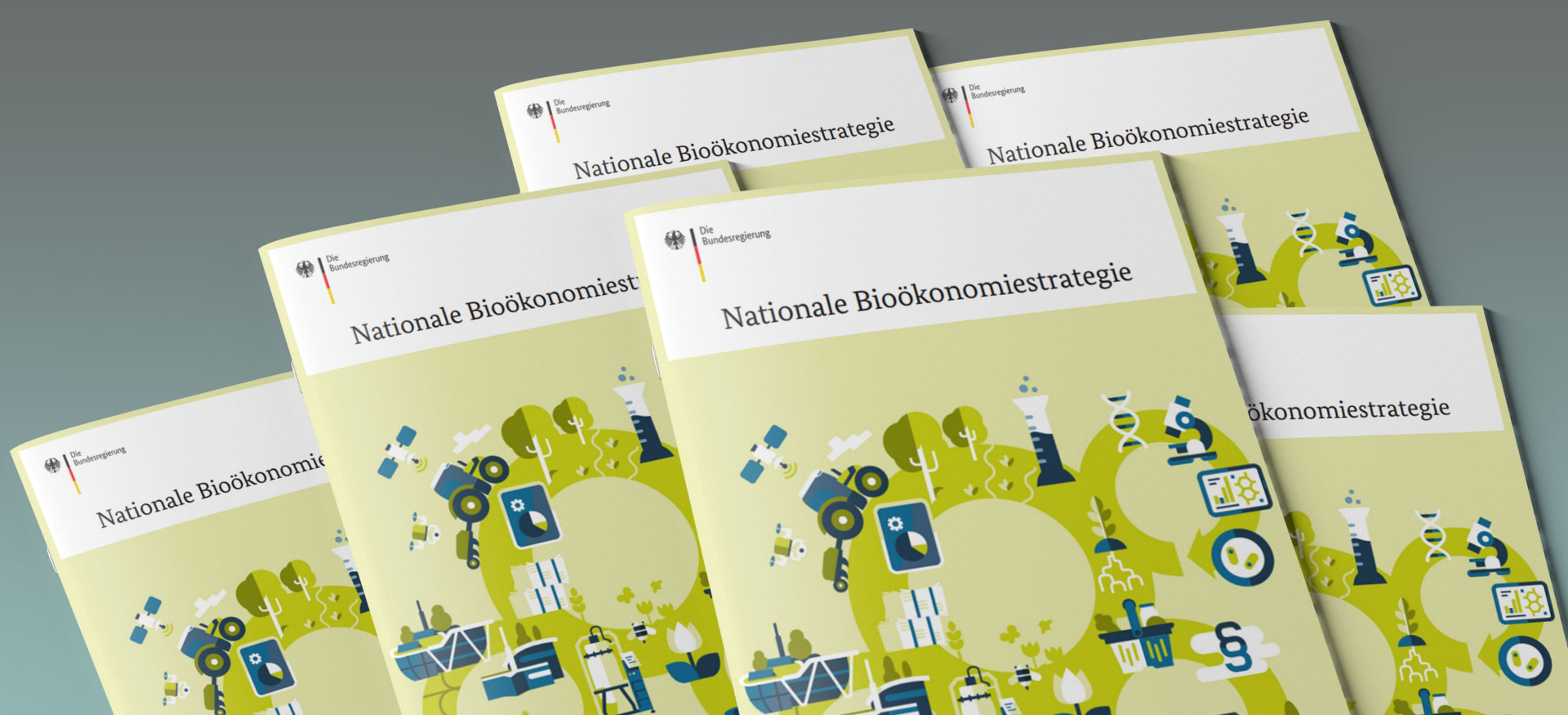 Das Bild zeigt einen Stapel Broschüren mit dem Titel "Nationale Bioökonomiestrategie".