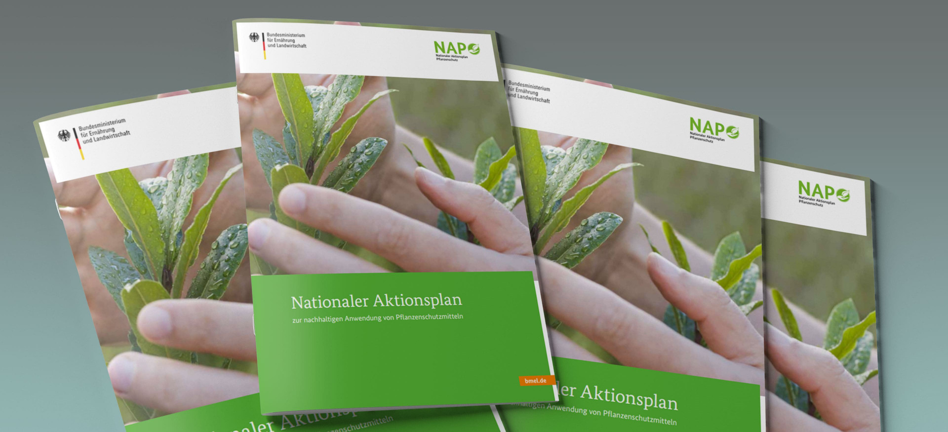 Das Bild zeigt einen Stapel Broschüren mit dem Titel "Nationaler Aktionsplan zur nachhaltigen Anwendung von Pflanzenschutzmitteln".