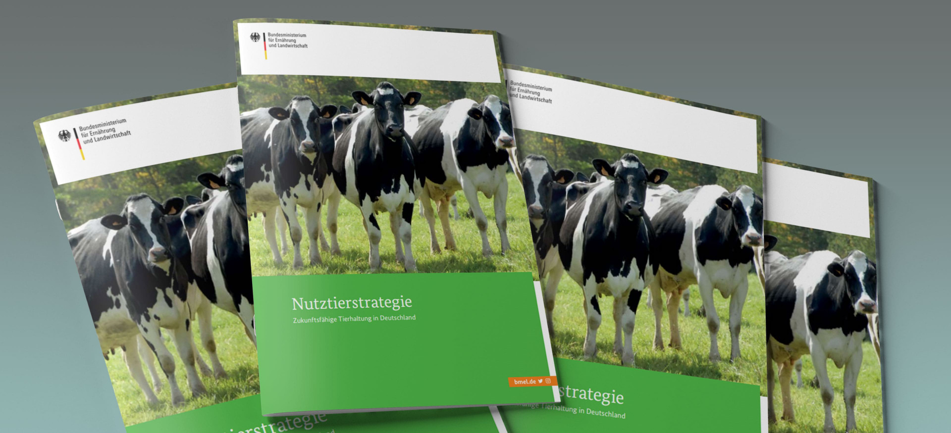 Das Bild zeigt einen Stapel Broschüren mit dem Titel "Nutztierstrategie".