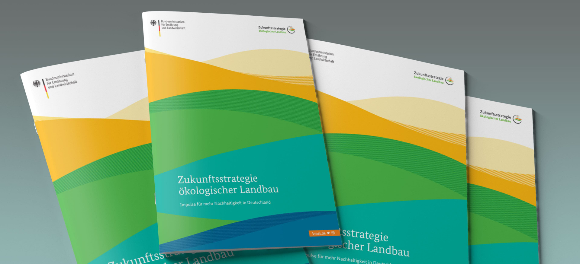 Das Bild zeigt einen Stapel Broschüren mit dem Titel "Zukunftsstrategie ökologischer Landbau".