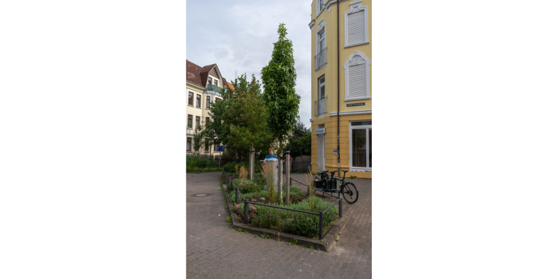 Das Bild zeigt eine Baumrigole am Alten Postweg in Hamburg-Harburg.