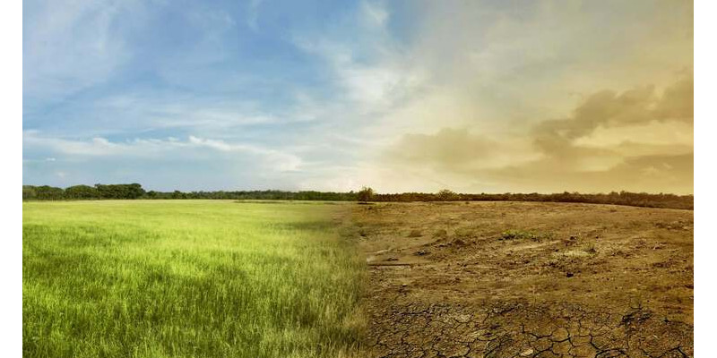 Eine Bildcollage, bei der auf der linken Seite eine Grasfläche unter blauem Himmel abgebildet ist, die sich in der Mitte des Bildes nach rechts in eine vertrocknete Gegend wandelt, bei der der rissige Boden und staubig-braunem Himmel zu sehen ist.