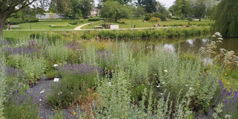 Im Vordergrund ist ein an einem Fluss angelegtes Kräuterbeet abgebildet. Auf der anderen Seite des Flusses im Hintergrund findet sich eine Rasenfläche mit Wegen und Parkbänken.