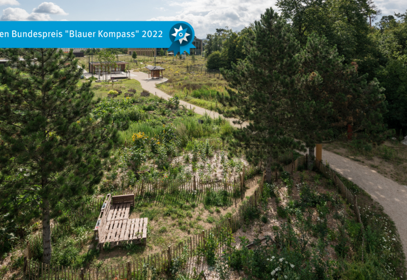 Beschreibung: Das Bild zeigt den Tiny Forest und die Renaturierungsfläche auf dem Alnatura-Campus.